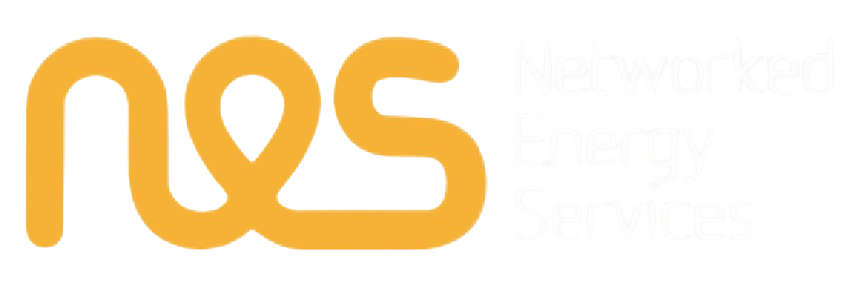 nes logo